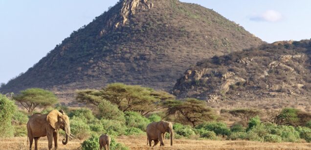 Samburu National Reserve — Kenya’s Rugged Northern Wilderness