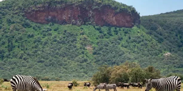 Hell’s Gate National Park — Kenya’s Ultimate Adventure Park