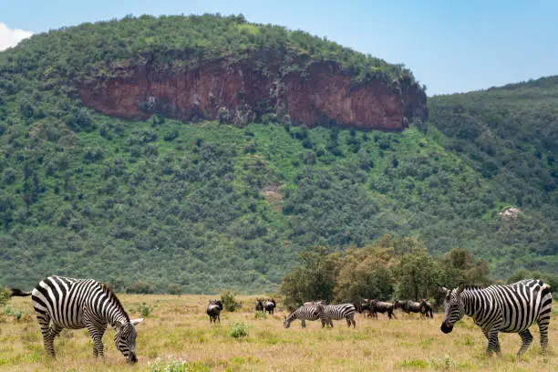 Hell’s Gate National Park — Kenya’s Ultimate Adventure Park