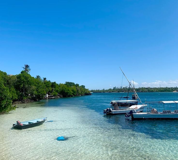 Affordable Family Holiday Kenya