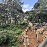 Kenya family safari parks
