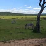 best time for Kenya