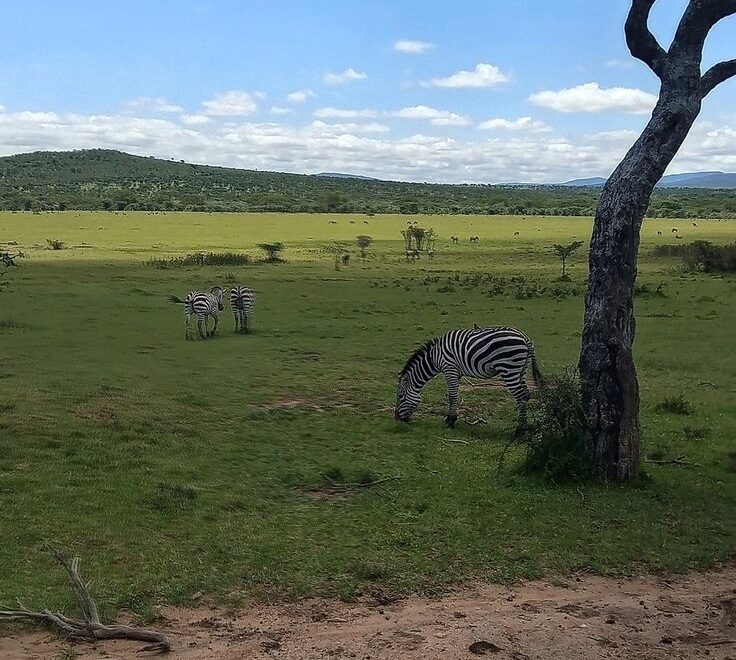 best time for Kenya