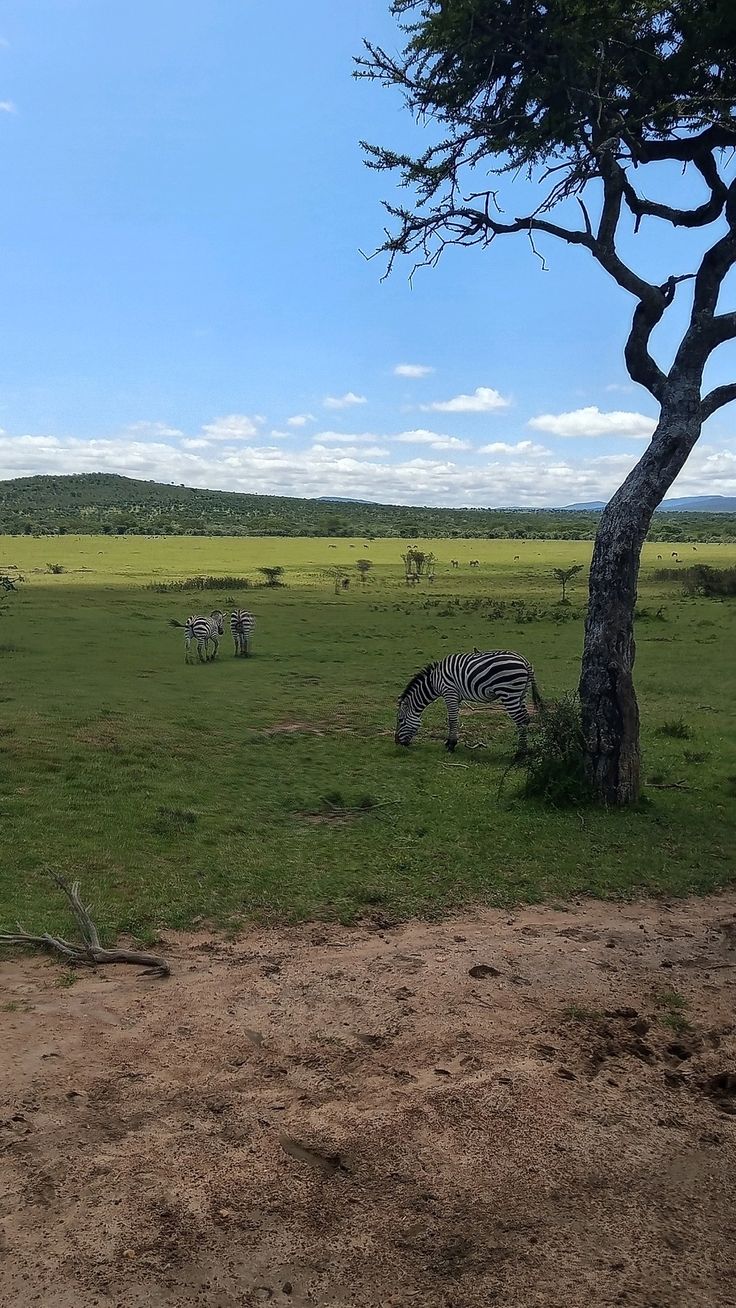 best time for Kenya